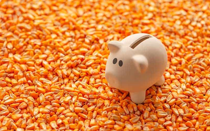 como investir em commodities